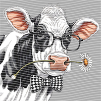 Animal Text Series-AT 320